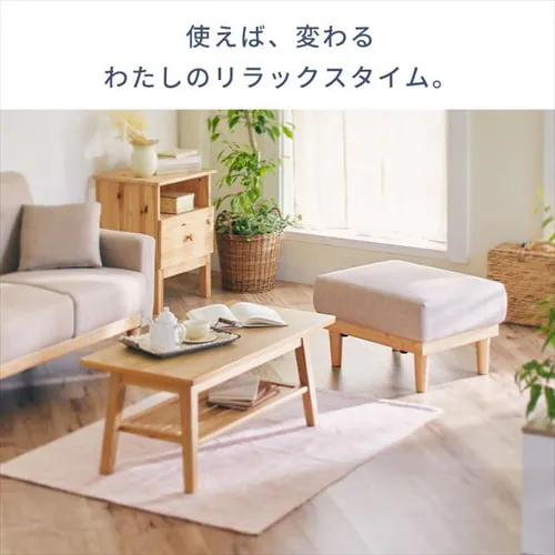 �I�b�g�}�� NDS-OT �x�[�W��_2