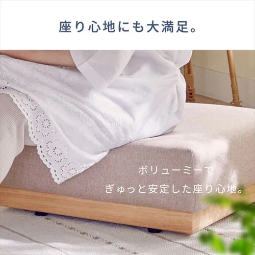 �I�b�g�}�� NDS-OT �x�[�W��_6