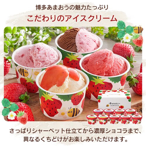 �������܂����̂������A�C�X AH-AB �y������s�z_2