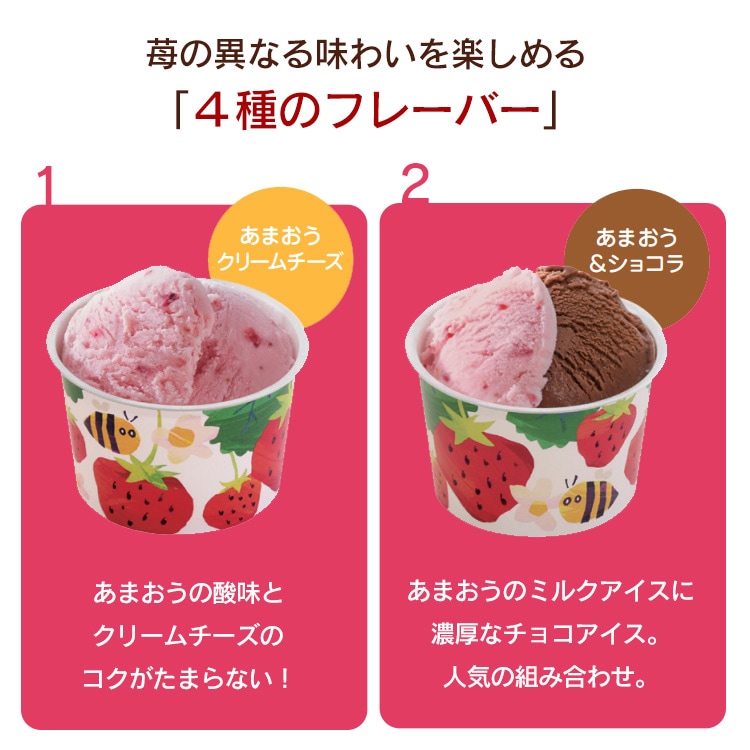 博多あまおうのこだわりアイス AH-AB 【代引き不可】 7257139