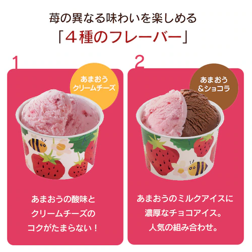 博多あまおうのこだわりアイス AH-AB 【代引き不可】_5