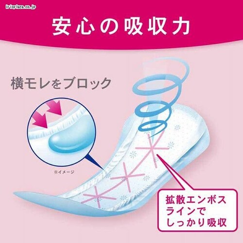 ���{�����N���V�A �|�C�Y ���P�A �z���p�b�h ���X�������R���p�N�g ���S�̒��ʗp 22�� (80cc) 88337 _7