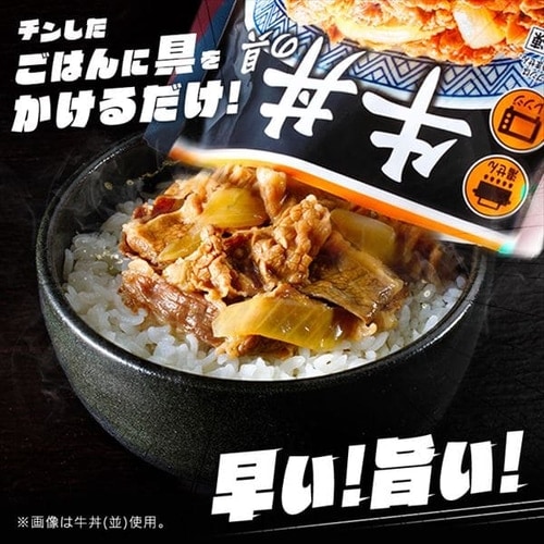 吉野家 冷凍牛丼の具 大盛 160g 30食セット パックご飯 180g×40パック