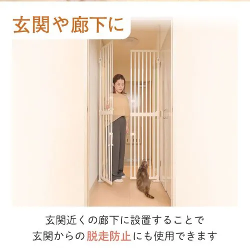 ��яo���h�~�y�b�g�Q�[�g �ɂ��h�A �u���b�N 1271107023 �L �Q�[�g_2