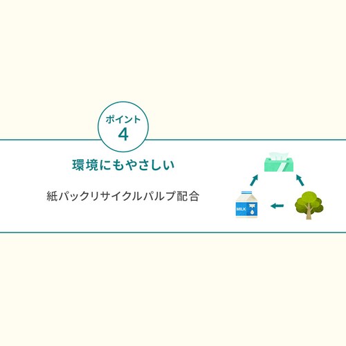 �n���h�^�I�� 1�p�b�N M�T�C�Y ���{�����N���V�A_5