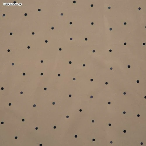 Wpc. ���C���o�C�V�N���X���[�u�|���`��_3