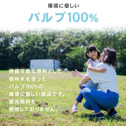 �y60���z �e�B�b�V�� 300�� (150�g) 5���~12 ���j�o�[�T���y�[�p�[_6