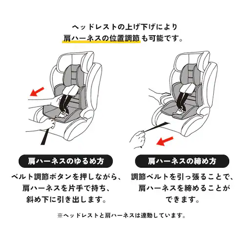 �`���C���h���W���j�A�V�[�gII 1090311088 �S4�F_11