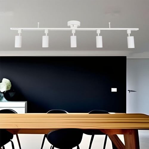 Hanx-Home �_�N�g���[���p�X�|�b�g���C�g_5