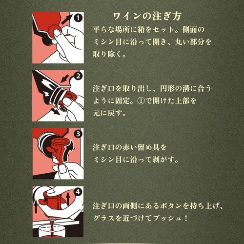 �y�󂠂�zVin de REPASIA Blanc �t�����X�����C�� 3000ml BIB _10