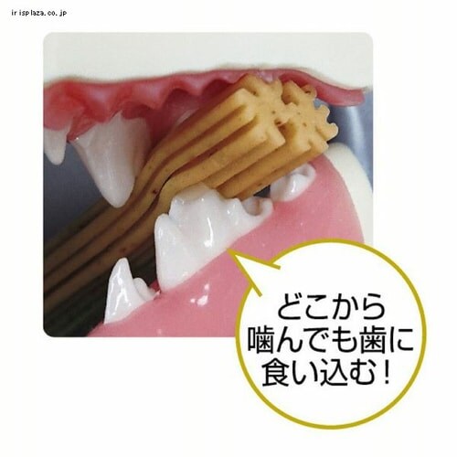LION PETKISS 食後の歯みがきガム プレミアム 小型犬用 6本 _1
