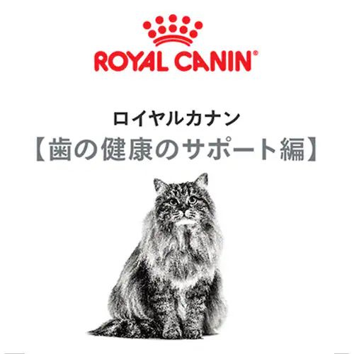 ロイヤルカナン キャット デンタル ケア 歯垢・歯石が気になる成猫用 400g FCN(フィーライン ケア ニュートリション)rccf27_2