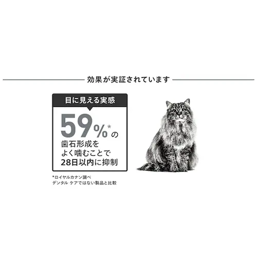 ロイヤルカナン キャット デンタル ケア 歯垢・歯石が気になる成猫用 400g FCN(フィーライン ケア ニュートリション)rccf27_5