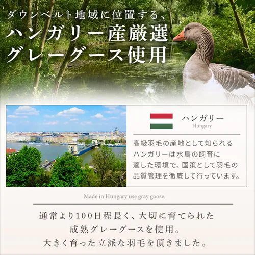 羽毛布団 シングル ハンガリー産 GGD93% 400dp 1.0kg ベージュ 【直送】 【代引き不可】_7
