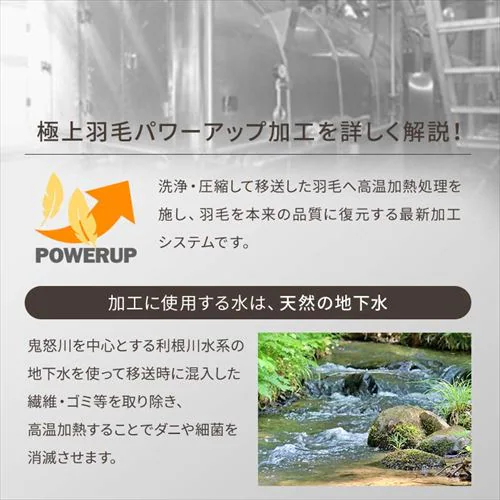 羽毛布団 シングル ハンガリー産 GGD93% 400dp 1.0kg ベージュ 【直送】 【代引き不可】_16