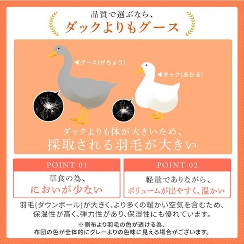 �H�ѕz�c �n���K���[�Y GGD95% 440dp 1.6kg �_�u�� �x�[�W�� �y�����z �y������s�z_9