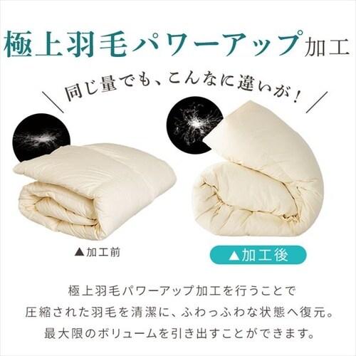 �H�ѕz�c �n���K���[�Y GGD95% 440dp 1.6kg �_�u�� �x�[�W�� �y�����z �y������s�z_16