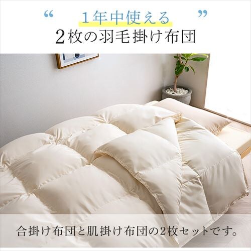 �H�ѕz�c 2�����킹 WDD50%�E85% 0.5kg/1.1kg �_�u�������O �x�[�W�� �y�����z �y������s�z_2