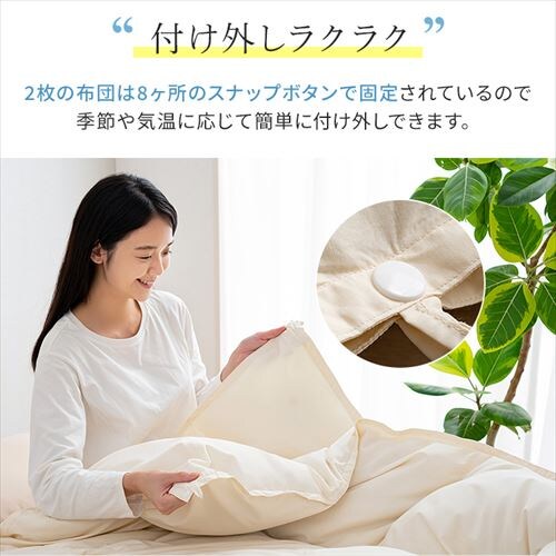 �H�ѕz�c 2�����킹 WDD50%�E85% 0.5kg/1.1kg �_�u�������O �x�[�W�� �y�����z �y������s�z_5