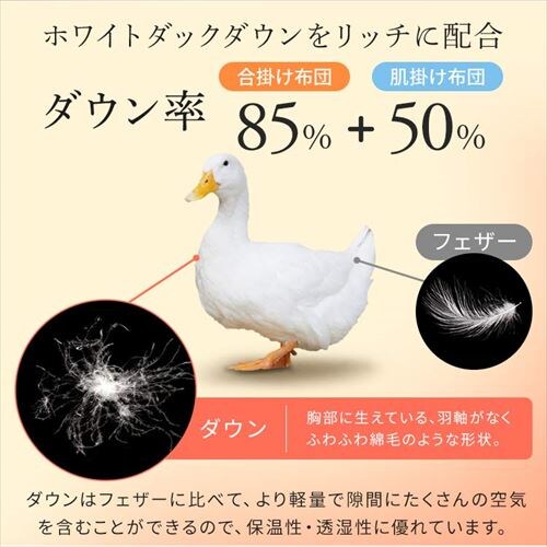 �H�ѕz�c 2�����킹 WDD50%�E85% 0.5kg/1.1kg �_�u�������O �x�[�W�� �y�����z �y������s�z_10