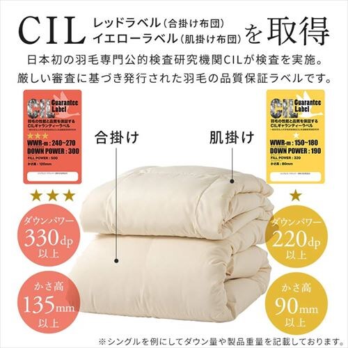 �H�ѕz�c 2�����킹 WDD50%�E85% 0.5kg/1.1kg �_�u�������O �x�[�W�� �y�����z �y������s�z_11