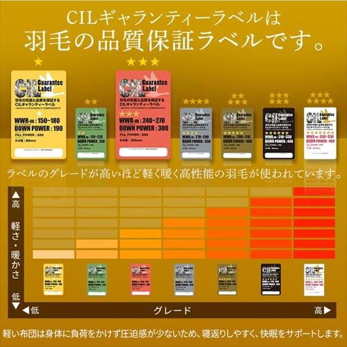 �H�ѕz�c 2�����킹 WDD50%�E85% 0.5kg/1.1kg �_�u�������O �x�[�W�� �y�����z �y������s�z_12