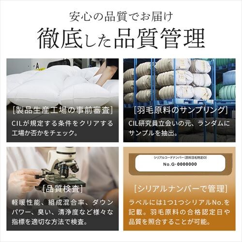 �H�ѕz�c 2�����킹 WDD50%�E85% 0.5kg/1.1kg �_�u�������O �x�[�W�� �y�����z �y������s�z_13