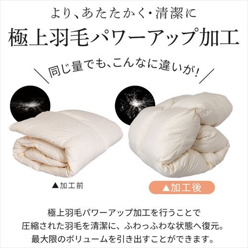 �H�ѕz�c 2�����킹 WDD50%�E85% 0.5kg/1.1kg �_�u�������O �x�[�W�� �y�����z �y������s�z_14