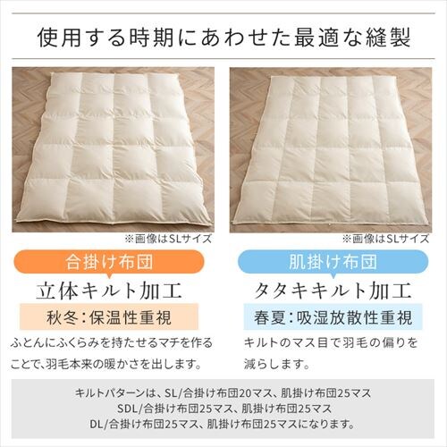 �H�ѕz�c 2�����킹 WDD50%�E85% 0.5kg/1.1kg �_�u�������O �x�[�W�� �y�����z �y������s�z_18