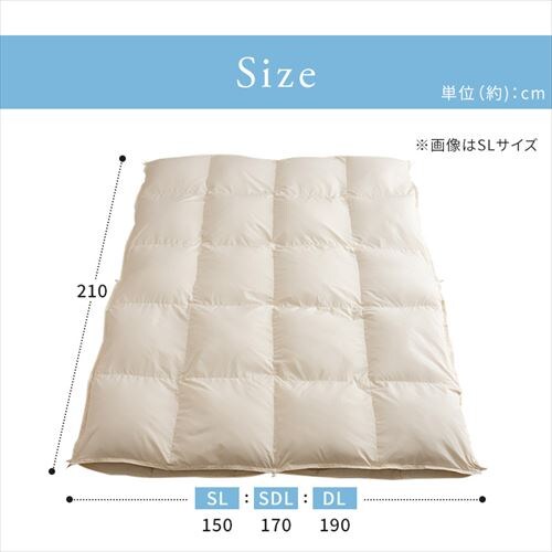 �H�ѕz�c 2�����킹 WDD50%�E85% 0.5kg/1.1kg �_�u�������O �x�[�W�� �y�����z �y������s�z_20