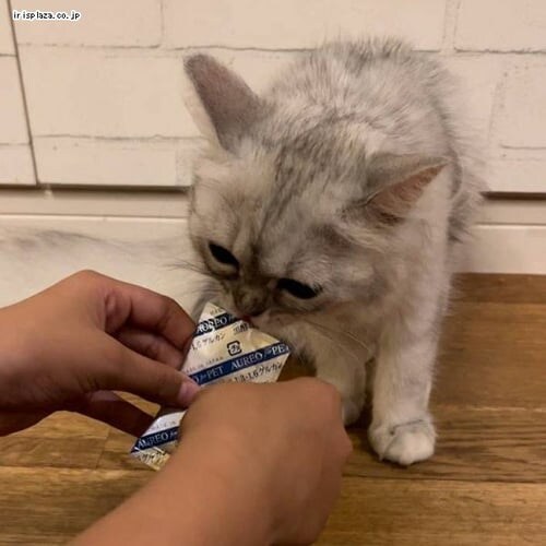 �A�E���I Love for Pet 5ml�~15�ܓ�_8