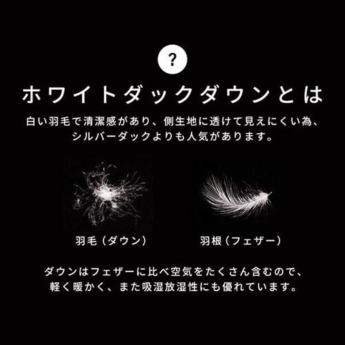 �y15%OFF�z�Q�� 3way�^�C�v �������H �����^ �u���E�� X0017V �L�����v �Q��  _5