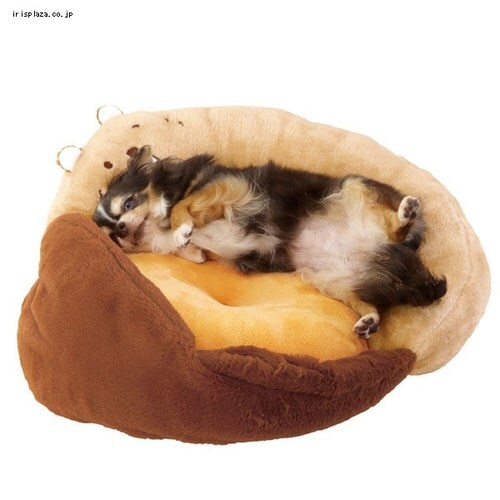 �y�b�c���[�g �ӂ��肵���ۃx�b�h ����_5