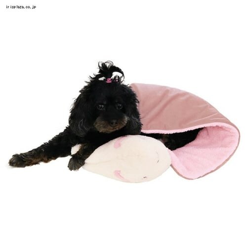 �y�b�c���[�g �ق��ق� �܂���P�b�g ������_2