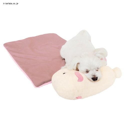 �y�b�c���[�g �ق��ق� �܂���P�b�g ������_3