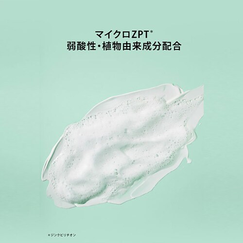 P&G h&s(�G�C�`�A���h�G�X) �V�����v�[800ml+�R���f�B�V���i�[800g ������ �l�ߑւ� ���C�X�`���[_6