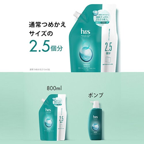 P&G h&s(�G�C�`�A���h�G�X) �V�����v�[800ml+�R���f�B�V���i�[800g ������ �l�ߑւ� ���C�X�`���[_8