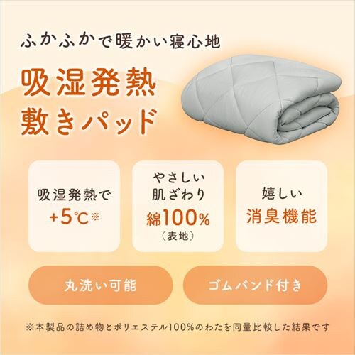 +5���~�p�b�h S�T�C�Y �O���[ BSP-SC-S _2