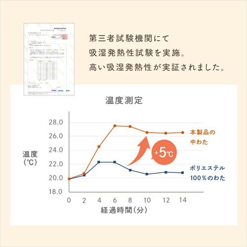 +5���~�p�b�h S�T�C�Y �O���[ BSP-SC-S _6