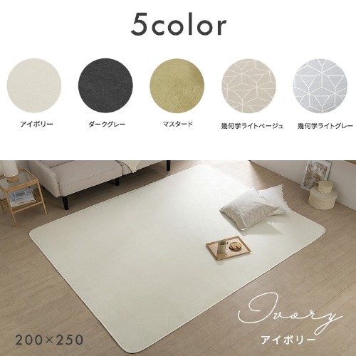 ラグ ソフトパイルラグ 抗菌防臭 防ダニ加工 丸洗い可能 200cm×300cm