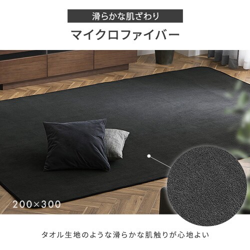 ラグ ソフトパイルラグ 抗菌防臭 防ダニ加工 丸洗い可能 200cm×300cm
