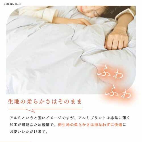 掛け布団 ダブル 吸湿発熱 保温 発熱あったか掛ふとん D ライトグレー