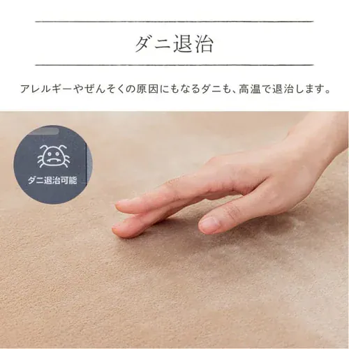 カーペット 2畳 ラグセット TEKNOS HCMF-IR200 ベージュ _6