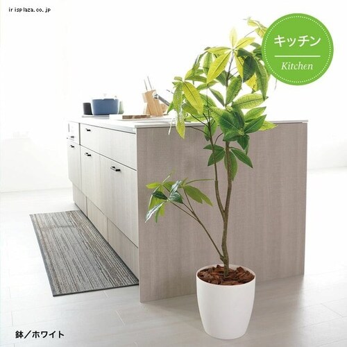 観葉植物 パキラ フェイクグリーン ホワイト【代引き不可】 7262219
