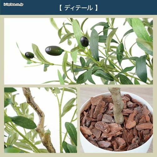 �I���[�u 23028 �S2�F�y������s�z_2