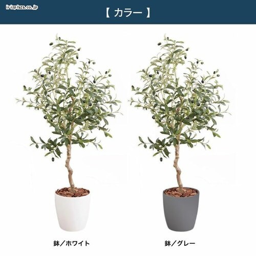 �I���[�u 23028 �S2�F�y������s�z_3