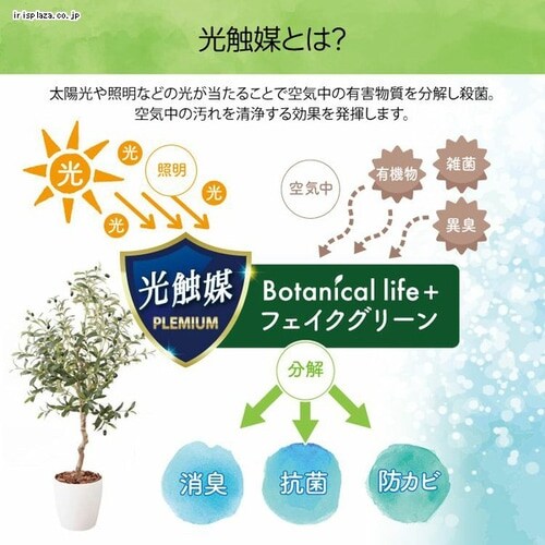 �I���[�u 23028 �S2�F�y������s�z_7