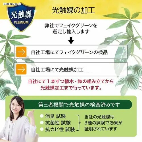 �I���[�u 23028 �S2�F�y������s�z_8