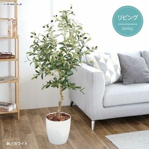 �I���[�u 23028 �S2�F�y������s�z_10