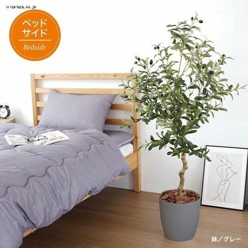 �I���[�u 23028 �S2�F�y������s�z_11